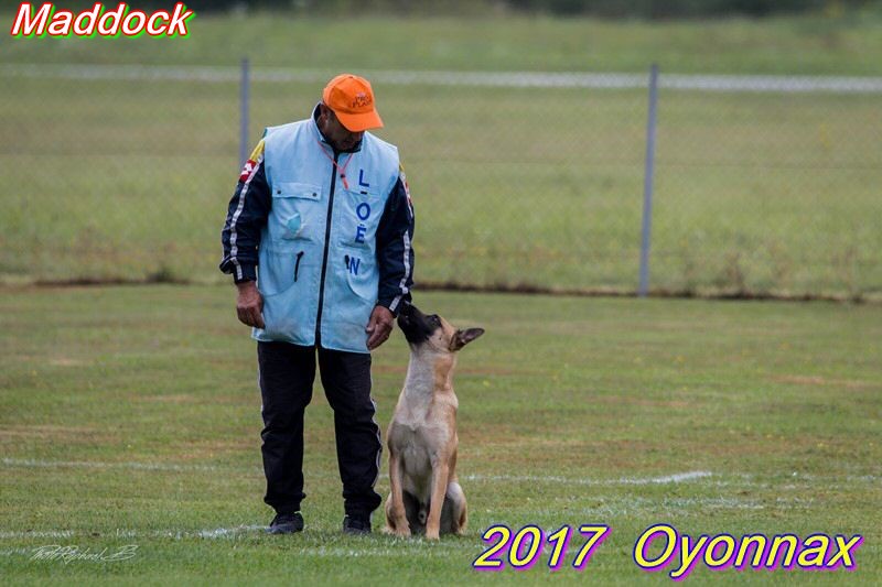 2017-oyo-maddock (2).jpg